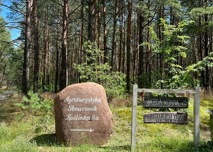 Agroturystyka Dom Skowronek