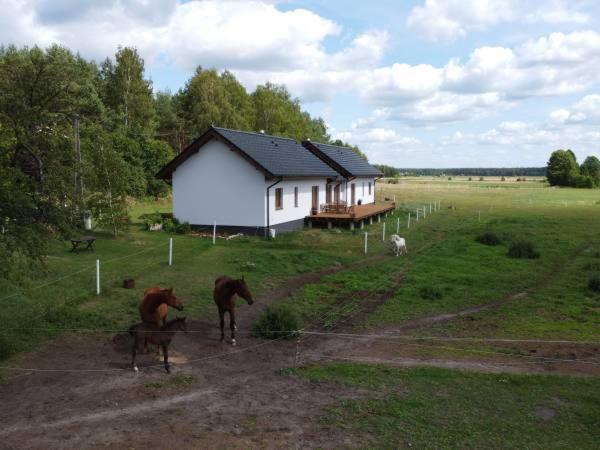 Dom Skowronek Апартаменти